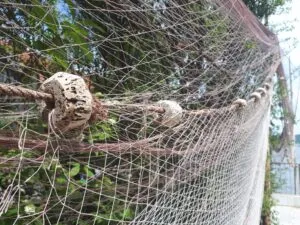 Aufstellen mit Pflanzen