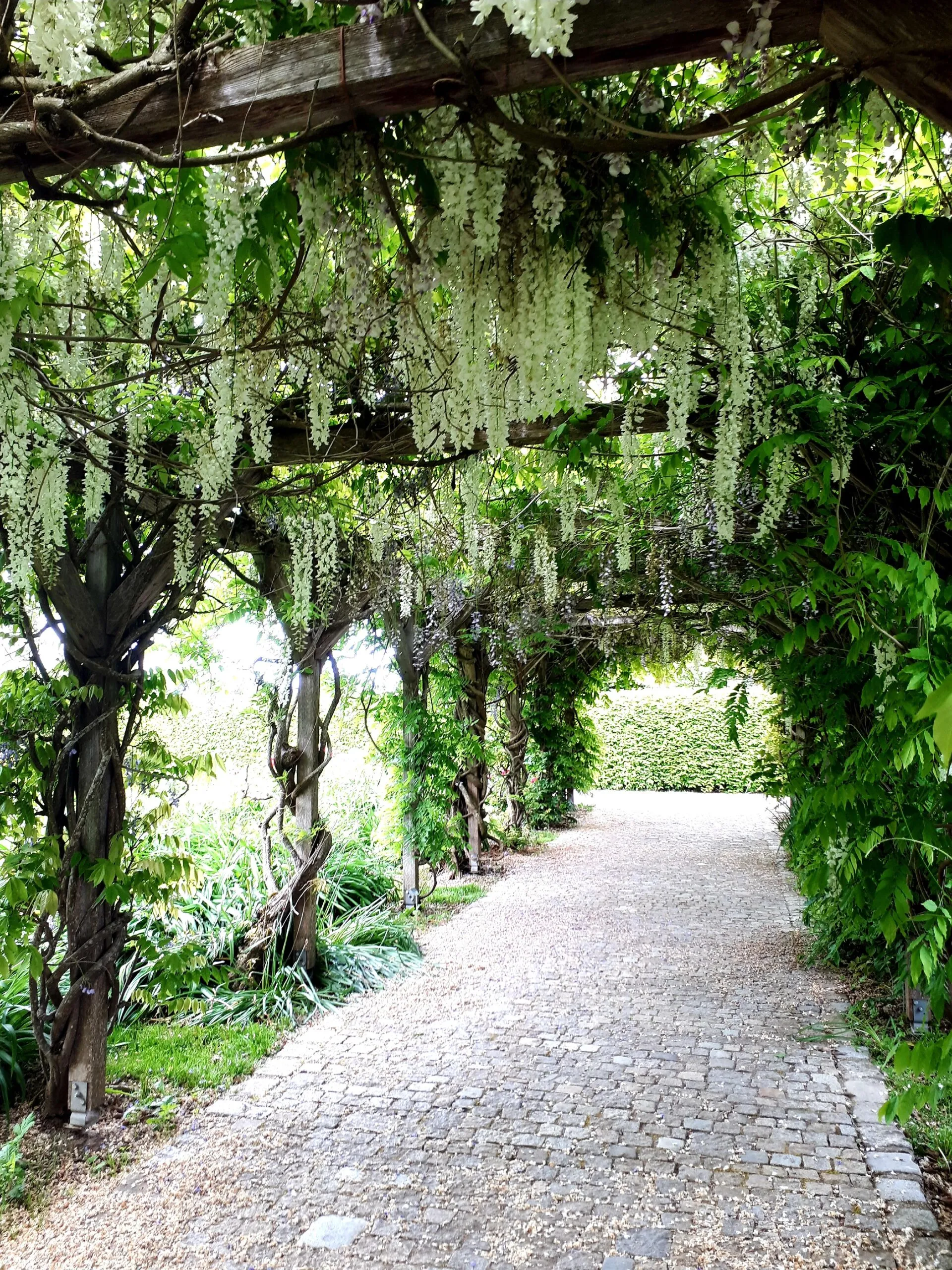 Schritt in die persönliche Freiheit