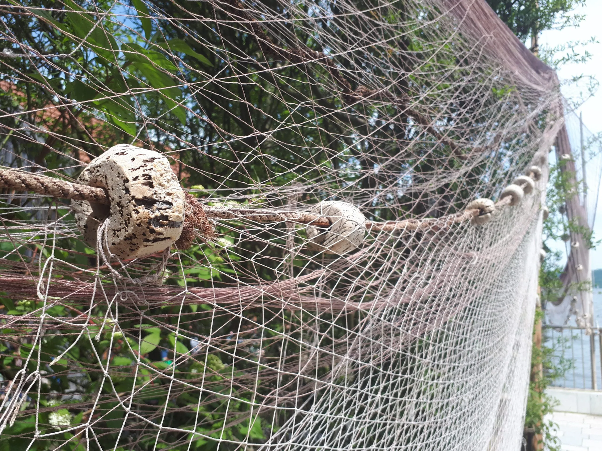 Aufstellen mit Pflanzen